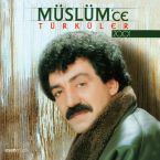 Türküler 2001