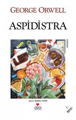 Aspidistra