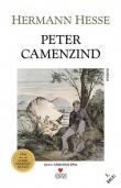 Peter Camenzind