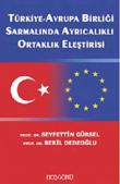 Türkiye, Avrupa Birliği Sarmalında Ayrıcalıklı Ortaklık Eleştirisi